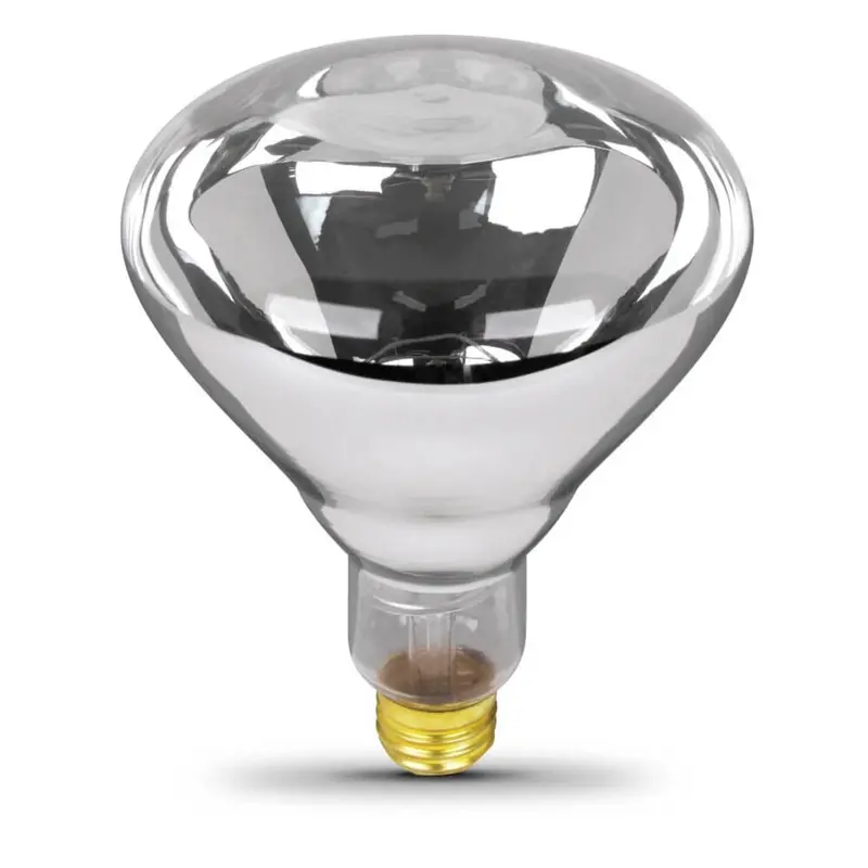 250W R40 Clear Incandescent Heat Lamp — Dimmable Reflector Bulb For Brooders & Warmth 1