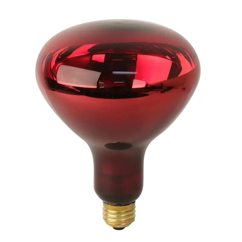 250W Red Br40 Heat Lamp Bulb – Dimmable Incandescent Reflector With Red Base 1