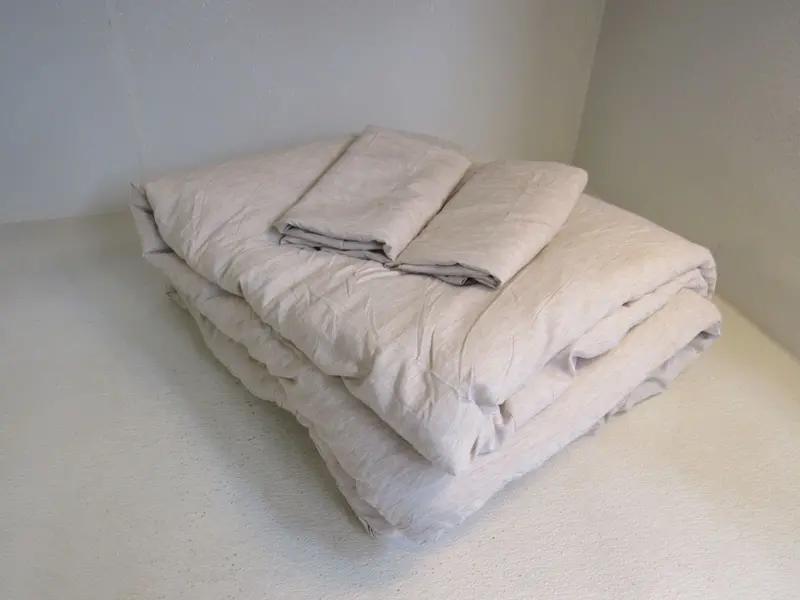 Bedsure Light Beige King Comforter Set (3-Piece), Down Alternative – New 1