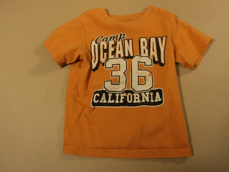 Boys' Ocean Bay Camp-Themed Cotton T-Shirt In Orange, Size 2–4 / 3T (Pre-Owned) 1
