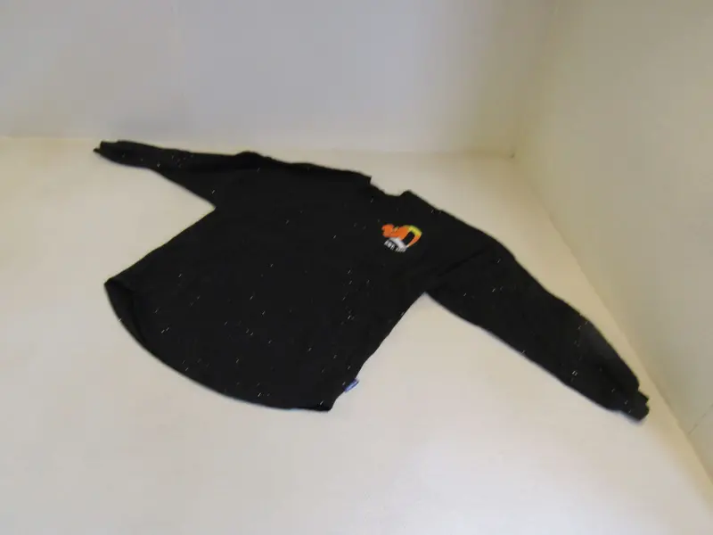 Disneyland Resort Spirit Jersey For Women – Black Solid Tee, Size S, Vintage-Inspired, Used 1