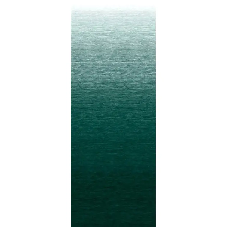 Dometic Universal Rv Awning Replacement Fabric – 21 Ft, Meadow Green (Model B3314989Nw.421) 1