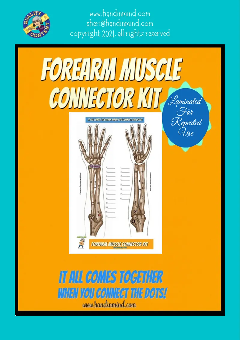 Forearm Connector Kit – Integrated Strength And Coordination Training 1