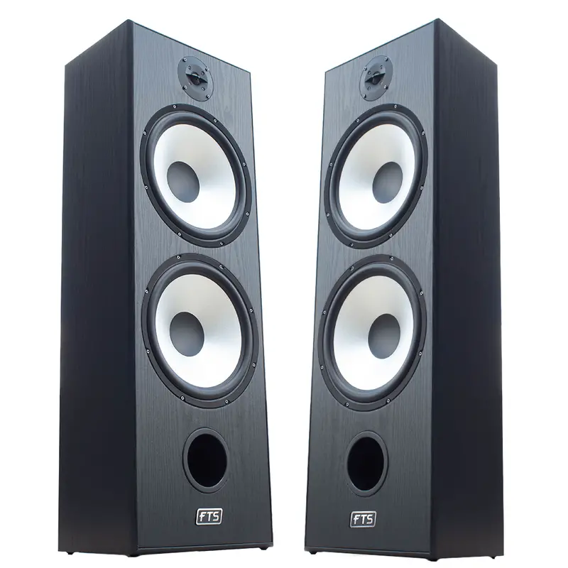 Fts 12-Inch Dual Passive Floor Speakers – 80–180W Peak Power, Black 1