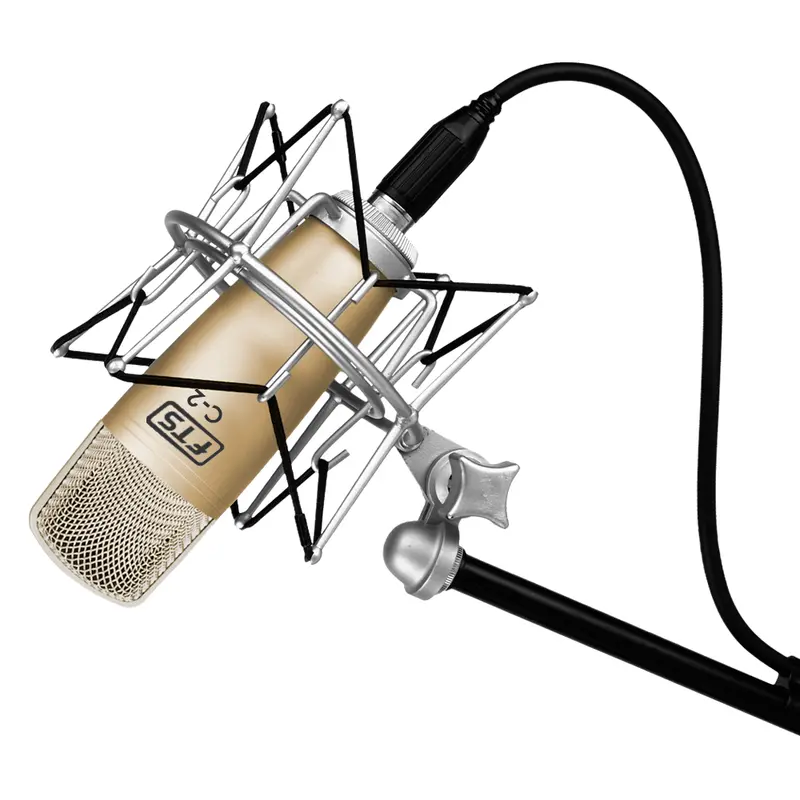 Fts C-2 Professional Condenser Microphone 1