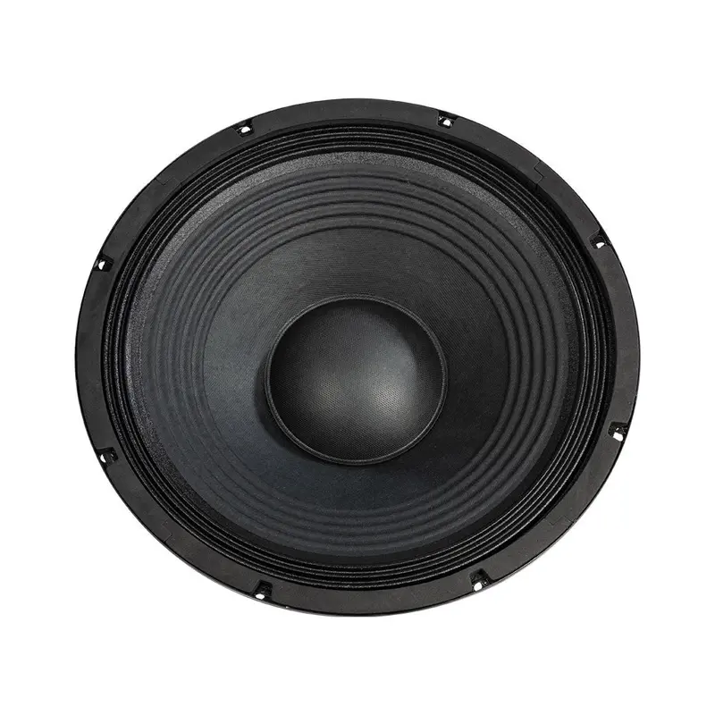 Hybrid H15H200 – 15-Inch 200W Passive Woofer Speaker 1