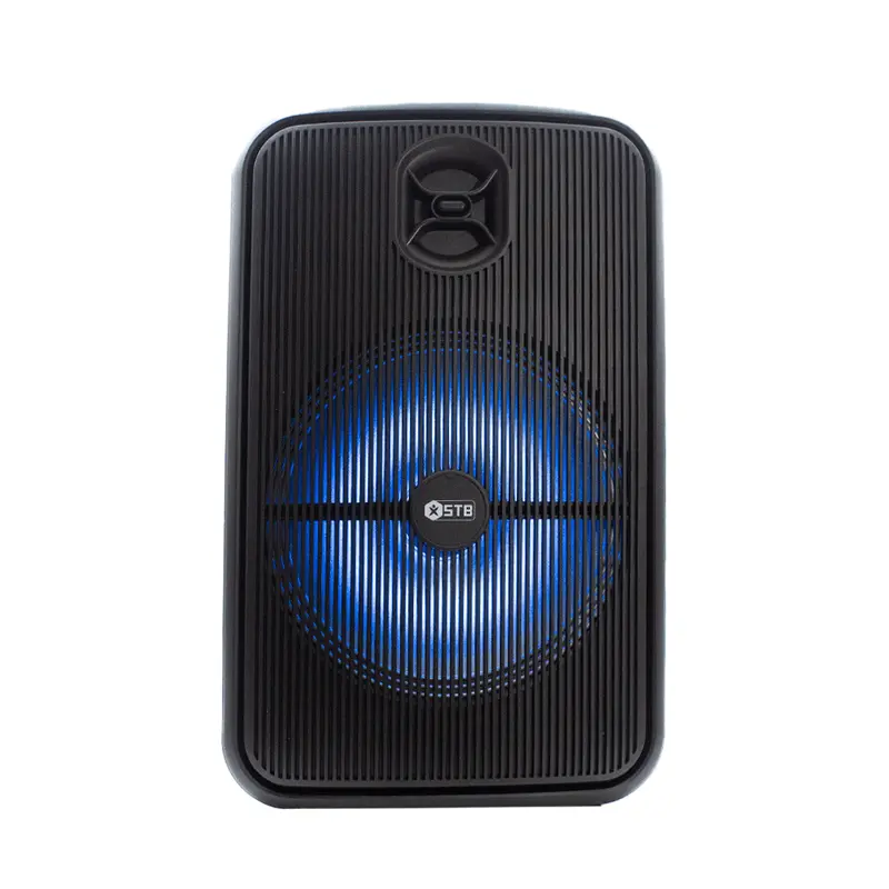 Stb-2612B 12-Inch Tws-Enabled Portable Speaker With Stereo Pairing 1