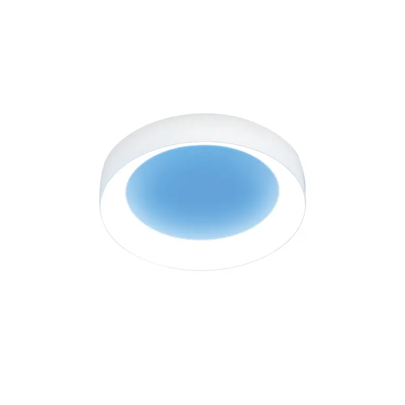 Vista 8-Inch Canless Round Led Skylight Fixture 1